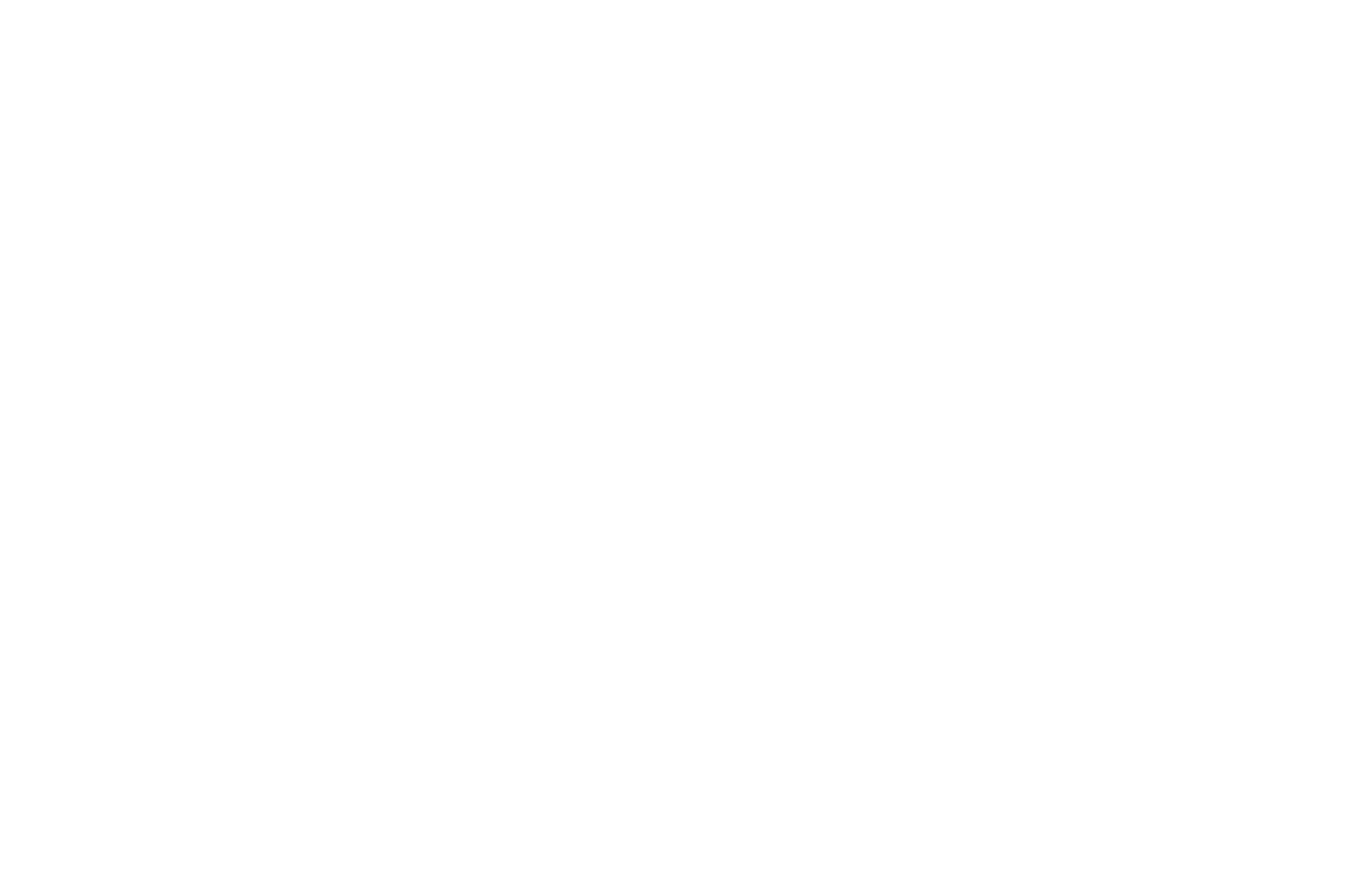 Lico Santo_logo-bianco